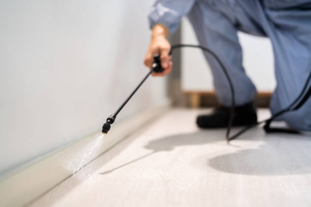 Licensed Exterminator service in Shady Point, OK - Show Me Pest Control