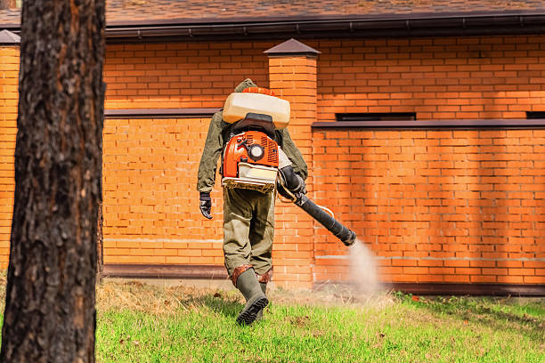 Bed Bug Clearance Verification and Documentation in Shady Point